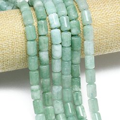 Средний Аквамарин Натуральный Malaysia нефритовые бусы пряди, окрашенная и подогревом, колонка, средний аквамарин, 11.5~12x7.5~8.5 мм, отверстие : 1~1.2 мм, около 31~32 шт / нитка, 15.16'' (38.5 см)
