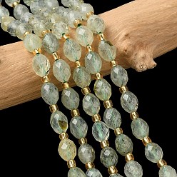 Пренит Природные пренит нитей бисера, граненые, рис, с бисером, 7.5~8x6~7.5 мм, отверстие : 0.8~1 мм, около 36~40 шт / нитка, 15.55~15.75'' (39.5~40 см)