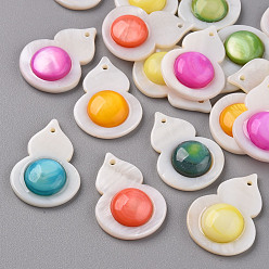 Mixed Color Natural Freshwater Shell Pendants, Dyed, Gourd/Calabash, Mixed Color, 26x8.5x5.5mm, Hole: 1.2mm