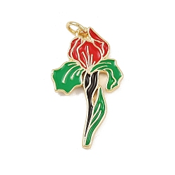 (123L) Белый крем непрозрачный блеск Латунь эмаль подвески, без кадмия и без свинца, подвески-цветы с соединительными кольцами, реальный 18 k позолоченный, огнеупорный кирпич, 27.5x15.5x1.5 мм, отверстие : 3.5 мм