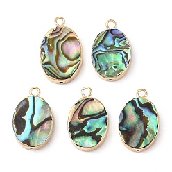 Golden Natural Paua Shell Pendants, Oval Charms with Brass Edge, Golden, 20x12.5x3.5mm, Hole: 1.8mm