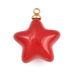 Красный 304 подвески из нержавеющей стали смолы, звезда очарование, золотые, красные, 22.5x19x12 мм, отверстие : 1.6 мм