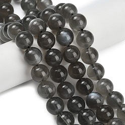Black Moonstone Натуральный черный лунный камень бисер пряди, круглые, класс А, 10~10.5 мм, отверстие : 0.8 мм, около 38 шт / нитка, 15.75 дюйм (40 см)