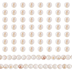Seashell Color 2 Strands AB Color Natural Freshwater Shell Beads Strands, Round, Seashell Color, 5mm, Hole: 0.6~0.7mm, about 79~80pcs/strand, 14.76~15.16''(37.5~38.5cm)