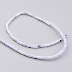 Lavender Natural Shell Bead Strands, Dyed, Column, Lavender, 8x4mm, Hole: 0.5mm, about 50pcs/strand, 15.7 inch