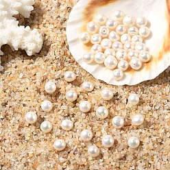 Морская Ракушка 10шт. натуральные пресноводные жемчужные бусины, картофель, цвет морской раковины, 3.5~4.5x4.5~6x4.5~5 мм, отверстие : 0.7 мм
