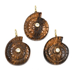 Тигровый глаз Природных тигровый глаз подвески, Подвески в виде раковин с латунными микропаве из прозрачных кубических цирконий., 33~34x22~23.5x10.5 мм, отверстие : 4.5 мм