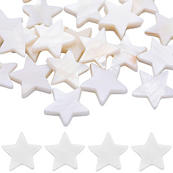 Морская Ракушка 2 нити из натуральных пресноводных бусин из ракушек, пентаграmmа, цвет морской раковины, 14x15~16x3 мм, отверстие : 0.8 мм, около 31 шт / нитка, 14.96 дюйм (38 см)