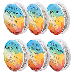 Платина 6 рулоны 6 размер медной проволоки для ювелирных изделий, круглые, платина, 18~28 датчик, 0.3~1 мм, 8.2~65.61 футов (2.5~20 м) / рулон, 1 рулон/размер