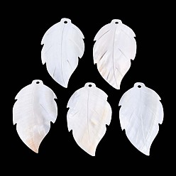 Морская Ракушка Большие подвески из натуральной пресноводной ракушки, лист прелести, цвет морской раковины, 67x39~40x3~4 мм, отверстие : 3 мм