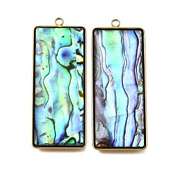 Rectangle 304 подвески из натуральной ракушки пауа из нержавеющей стали, ионное покрытие (ip), реальный 18 k позолоченный, прямоугольные, 43x17x3.5 мм, отверстие : 1.8 мм