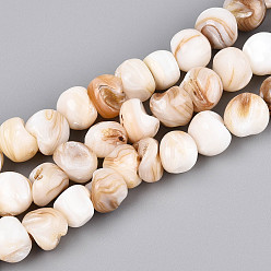 Морская Ракушка Естественных пресноводных оболочки бисер нитей, самородки, цвет морской раковины, 3.5~12x9~12x7.5~12 мм, отверстие : 0.8 мм, около 39~44 шт / нитка, 13.98~16.34'' (35.5~41.5 см)