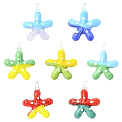 (52) Непрозрачная лаванда 7 шт 7 цвета подвески лэмпворк ручной работы, прелести морская звезда, разноцветные, 28~30x24~25x9~10 мм, отверстие : 3~4 мм, 1 шт / цвет