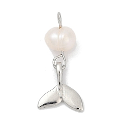 Платина Подвески из натурального пресноводного жемчуга и латуни, рыбы прелести, стойки покрытие, без кадмия и без свинца, долговечный, платина, 21.5x9.5x5 мм, отверстие : 2 мм