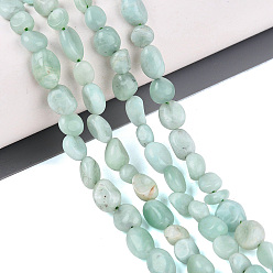 Natural Glass Бусины из натурального стекла, упавший камень, самородки, 4~10x4~7x3~6 мм, отверстие : 1 мм, около 50 шт / нитка, 50~52 шт / нитка, 14.96 дюйм (38 см)