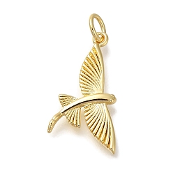Настоящее золото 18K Стойки обшивки латунные подвески, без кадмия и без свинца, долговечный, амулеты птиц, с целью перехода в кольце, реальный 18 k позолоченный, 21.5x11.5x2 мм, отверстие : 3 мм