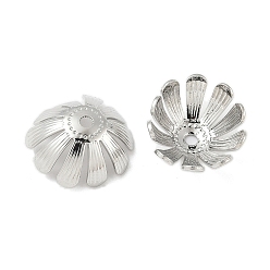 Платина Шапочки и конусы для бусин, латунные, цветок, платина, 13x5.5 мм, отверстие : 2 мм