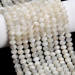 White Moonstone Натуральный белый лунный камень бисер пряди, рондель, граненые, 7.5~8x5.5~6 мм, отверстие : 1 мм, около 78~80 шт / нитка, 15.20~15.47'' (38.6~39.3 см)