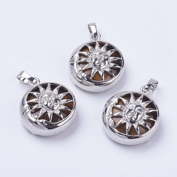 Тигровый глаз Природных тигровый глаз подвески, с латунной фурнитурой , плоские круглые с солнцем, платина, 28x24x9~10 мм, отверстие : 5x7 мм