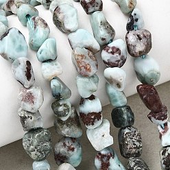 Ларимар Природные ларимар бисер нитей, самородки, упавший камень, 5~9x5~8.5x3~6 мм, отверстие : 0.8~0.9 мм, около 31 шт / нитка, 7.87'' (20 см)