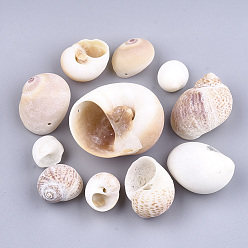 Navajo White Conch Shell Pendants, Navajo White, 19~45x15~46x10~30mm, Hole: 1.5mm