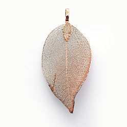 Другой Цвет Латунные покрытые натуральными листьями большие подвески, долговечный, лист, песчаный коричневый, 52~86x23~46x0.5~3 мм, отверстие : 3x5.5 мм