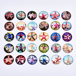 Mixed Color Glass Cabochons, Half Round with Ocean Pattern, Mixed Color, 25x7.5mm, 30pcs/set