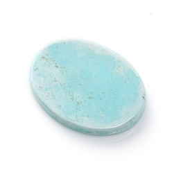 Howlite Natural Howlite Cabochons, Dyed & Heated, Oval, 19x14.5x2.5mm