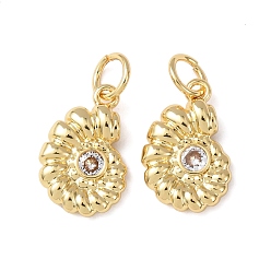 Shell Shape Латунные микро проложить кубического циркония прелести, без кадмия и без свинца, стойки покрытие, долговечный, с целью перехода в кольце, реальный 18 k позолоченный, формы раковины, 14x9x3 мм, отверстие : 3.5 мм