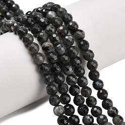 Larvikite Натуральные нити бус из ларвикита, граненые, круглые, 6 мм, отверстие : 0.9 мм, около 63~64 шт / нитка, 15.16~15.28'' (38.5~38.8 см)