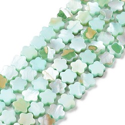 Бирюза Естественных пресноводных оболочки бисер нитей, окрашенные, цветок, бирюзовые, 8x8x3 мм, отверстие : 0.8 мм, около 52 шт / нитка, 15.16'' (38.5 см)