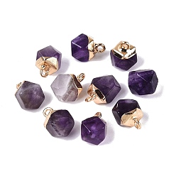 Amethyst Natural Amethyst Pendants, Polygon Charms, with Golden Tone Brass Loops, 11.5~14x7~9.5x7~9.5mm, Hole: 1.6~1.8mm
