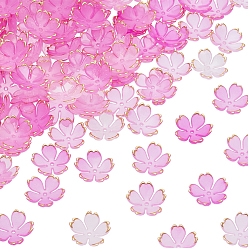 Камелия 200 шт. акриловые колпачки для бусин, 5-лепестков цветка, камелия, 17.5x18x5 мм, отверстие : 1.2 мм