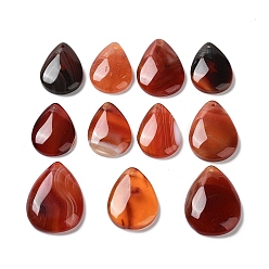 Red Agate Подвески из окрашенного и нагретого натурального красного агата, слезинки, 27~34x19~24x5~6 мм, отверстие : 1.5~1.6 мм