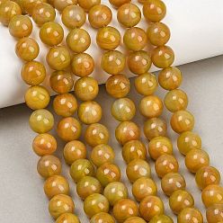 Темно-Золотистый Ручной работы бусины прядь, имитация нефрита, круглые, темные золотарник, 10~10.5 мм, отверстие : 0.5 мм, около 36~38 шт / нитка, 13.98~15.35'' (35.5~39 см)