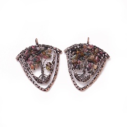 Турмалин Природные турмалин чип большие подвески, с латунной фурнитурой , щит, Красная медь, 57~59x47.5x8 мм, отверстие : 5 мм