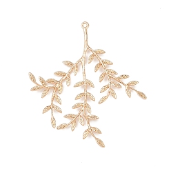 Лист Латунные подвески, золотой свет, лист, 49.5x44x2 мм, отверстие : 1.2 мм
