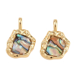 Самородки Подвески неправильной формы из натуральной латунной раковины пауа, реальный 18 k позолоченный, самородки прелести, 23x13x5 мм, отверстие : 3x5 мм