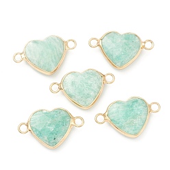 Amazonite Natural Amazonite Links, with Golden Brass Edges, Heart, Undyed, 26x16x5.5mm, Hole: 2mm