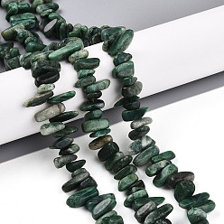 Африканский Нефрит Природные африканские нефритовые бусы пряди, самородки, 2.5~7x8~19.5x5~7 мм, отверстие : 0.8 мм, около 71~77 шт / нитка, 15.35~15.75'' (39~40 см)