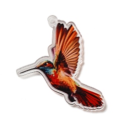 Птица Акриловые подвески, животные, птица, 44x30.5x1.8 мм, отверстие : 1.6 мм