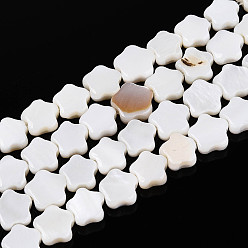 Морская Ракушка Естественных пресноводных оболочки бисер нитей, цветок, цвет морской раковины, 6x6x2 мм, отверстие : 0.7 мм, около 68 шт / нитка, 15.16 дюйм ~ 15.55 дюйм (38.5~39.5 см)