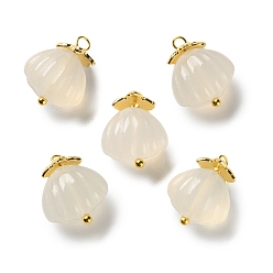 Натуральный Агат Подвески в форме ракушек из натурального агата, с фурнитурой латунной золотого тона, 16~16.5x12.5~13.5x8.5~9.5 мм, отверстие : 1.8 мм