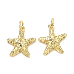 Настоящее золото 18K Латунные подвески, Морская звезда со спиральными подвесками в центре, без свинца и без кадмия, долговечный, стойки покрытие, реальный 18 k позолоченный, 19x17x3.5 мм, отверстие : 3 мм