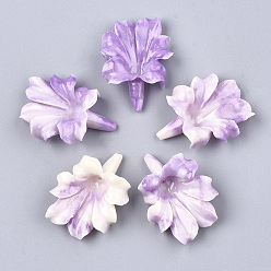 Средняя Орхидея Синтетических коралловых бусин, окрашенные, цветок, средне орхидеи, 31~32x23~24x9~10 мм, отверстие : 1 мм