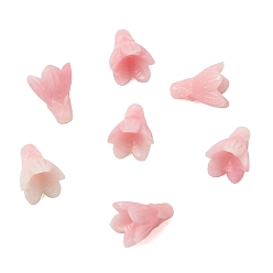 Perle rosa Gefärbte synthetische Korallenschnitzperlen, Blume, Perle rosa, 12.5~13x10~10.5 mm, Bohrung: 1.2 mm