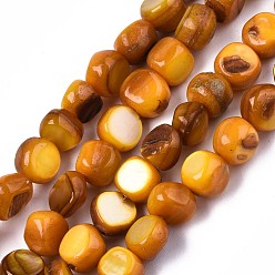 Золотистый Естественных пресноводных оболочки бисер нитей, окрашенные, самородки, золотые, 6~7x5~7x2~7 мм, отверстие : 0.8 мм, около 58~62 шт / нитка, 14.57~15.35 дюйм (37~39 см)