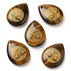 Тигровый глаз Естественно тигровые глазных капель подвески, подвески-слезинки с гравированным золотым деревом жизни, 33~33.5x24.5~25x7~7.5 мм, отверстие : 2 мм