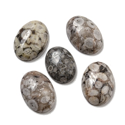 Маифанит Кабошоны из натурального майфанита, овальные, 18x13x5~5.5 мм