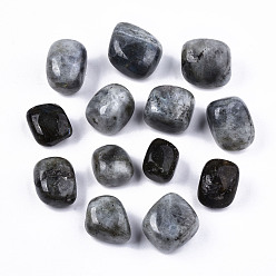Labradorite Natural Labradorite Beads, Healing Stones, for Energy Balancing Meditation Therapy, Tumbled Stone, Vase Filler Gems, No Hole/Undrilled, Nuggets, 19~30x18~28x10~24mm  250~300g/bag